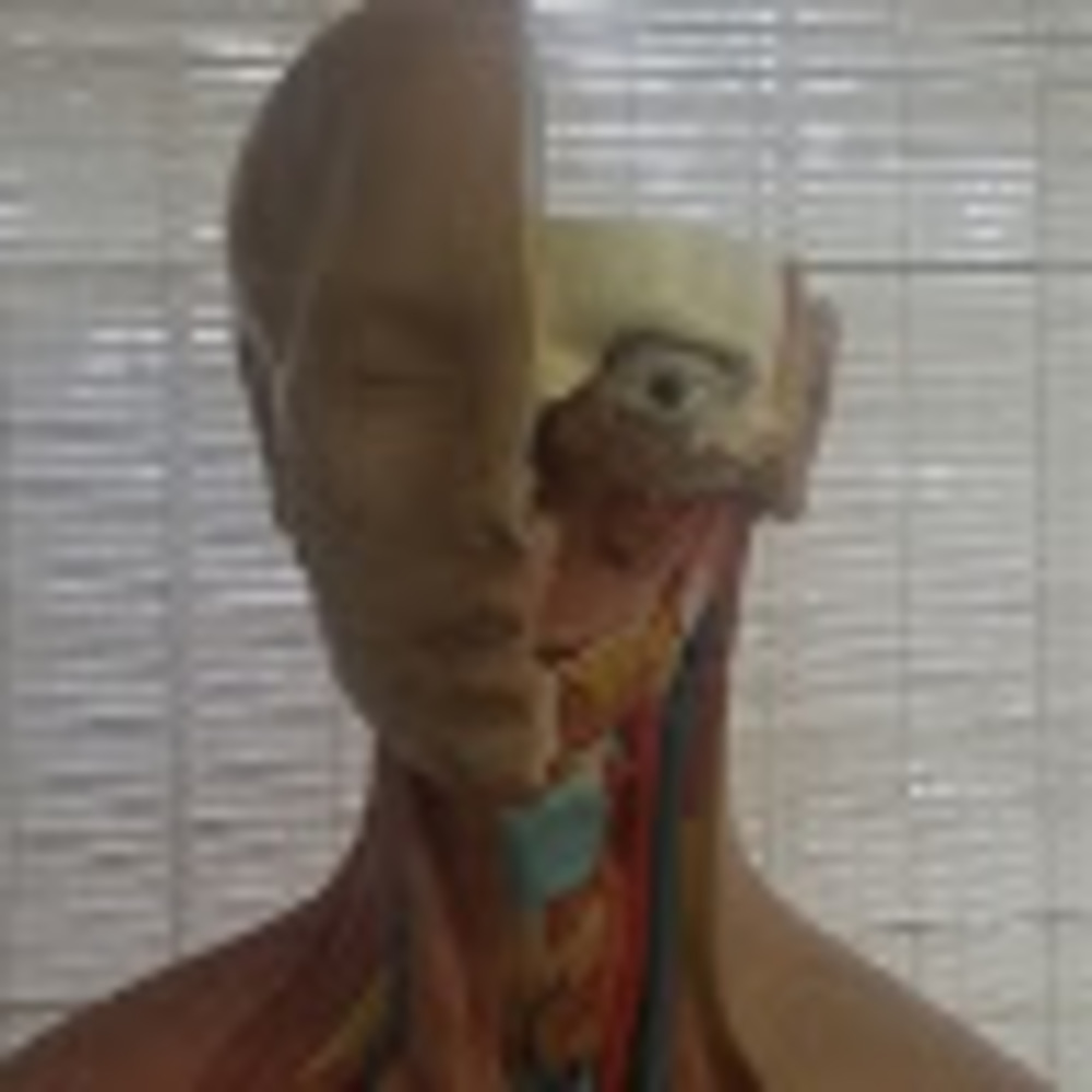 Meet your Posher, Joshua